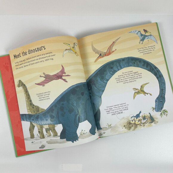 🍋 4/$20  The Usborne Big Book of Dinosaurs | Kids Books Childrens Books - Picture 5 of 7